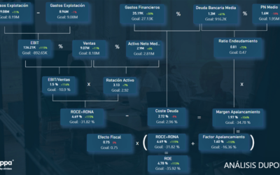 Análisis DuPont, por ejemplo.